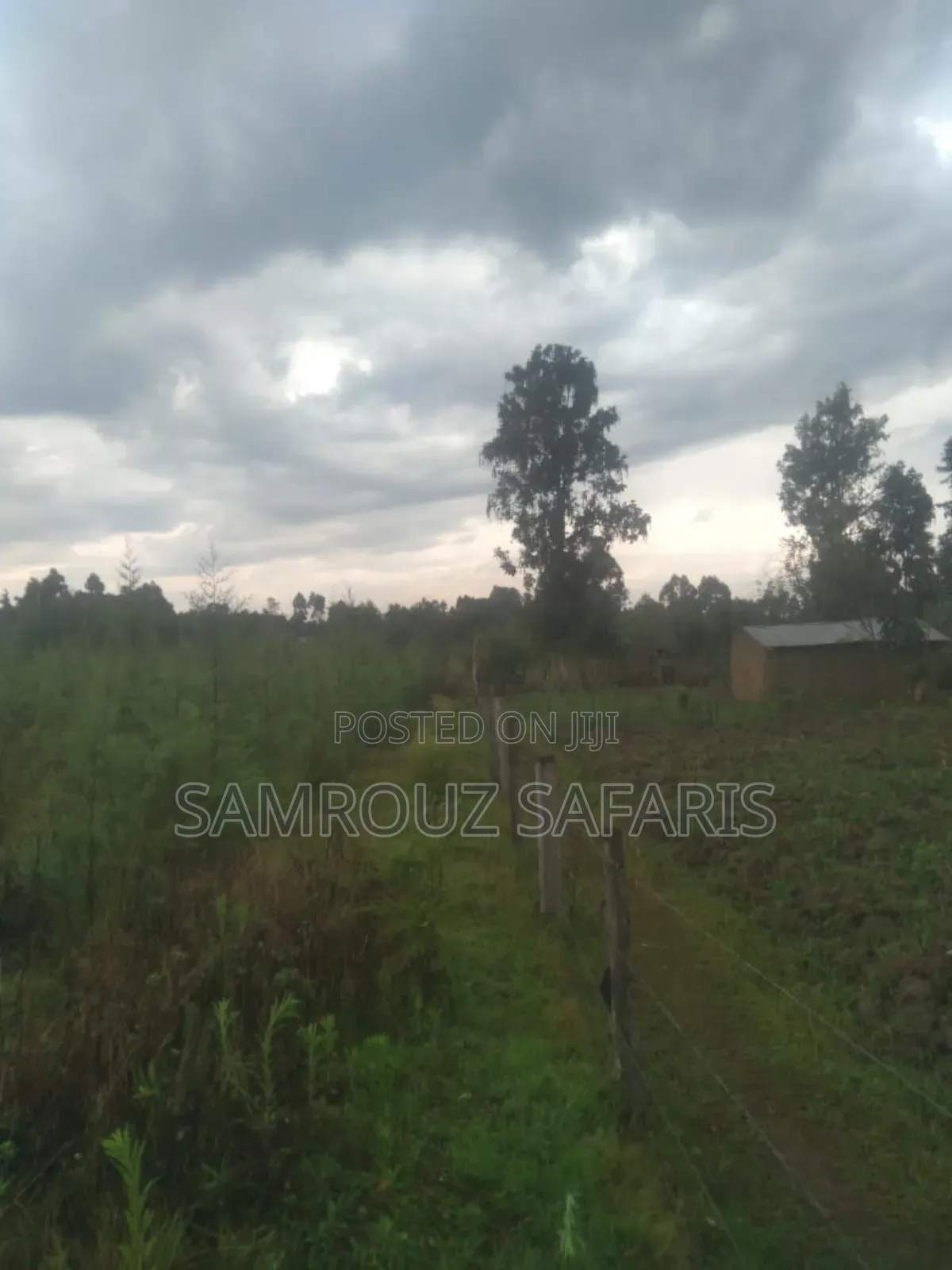 One Acre Land for Sell in Amuka Center Transzoia Kitale