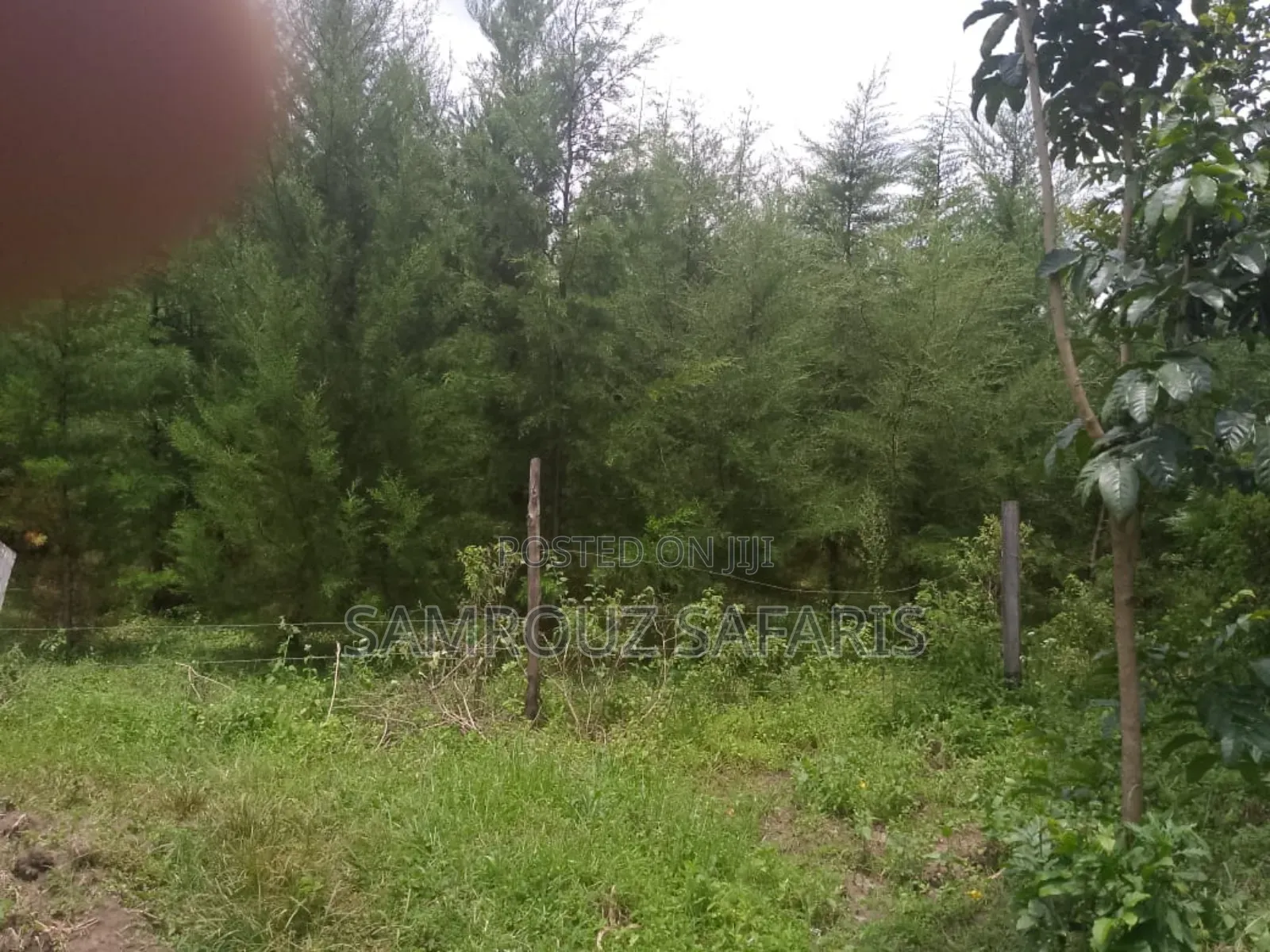 One Acre Land for Sell in Amuka Center Transzoia Kitale