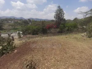 Commercial Acre For Sale