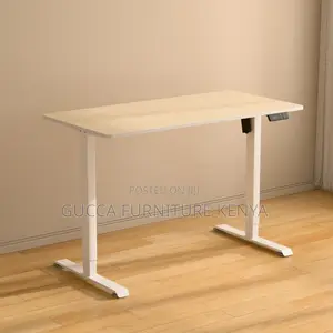 120cm Electric Powered Standing Desk