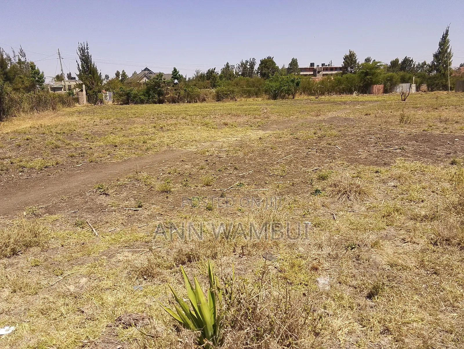 Residential Plots for Sale