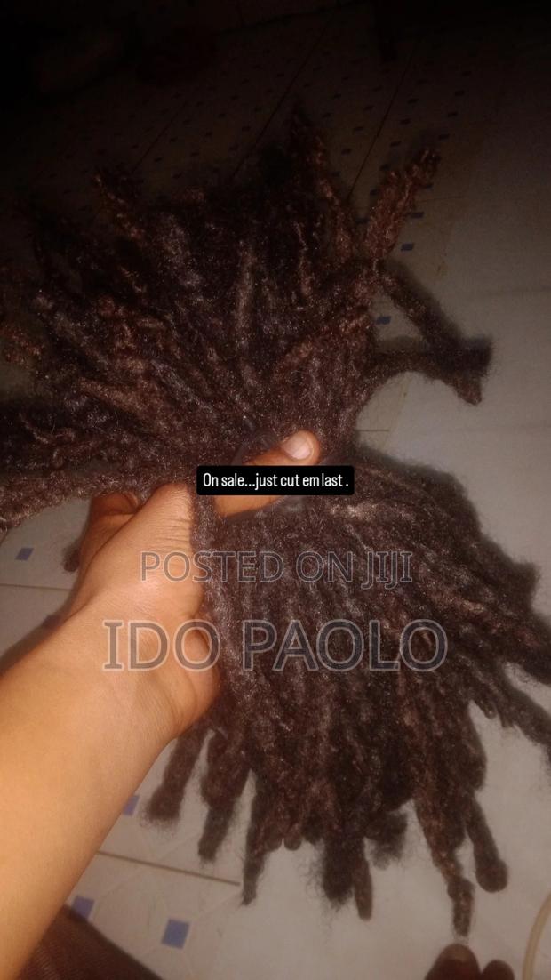 Natural 7 Years Dreadlocks, Mixed Race. - main view