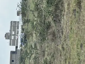 Two Plots for Sale Adjacent to Each Other Mwalimu Farm Phase 3