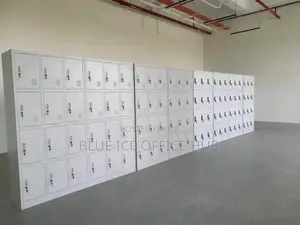 12 Door Lockable Cabinet