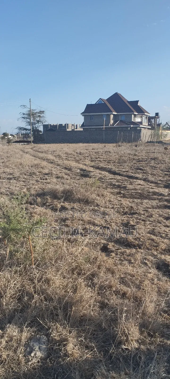 Kamakis Plot for Sale