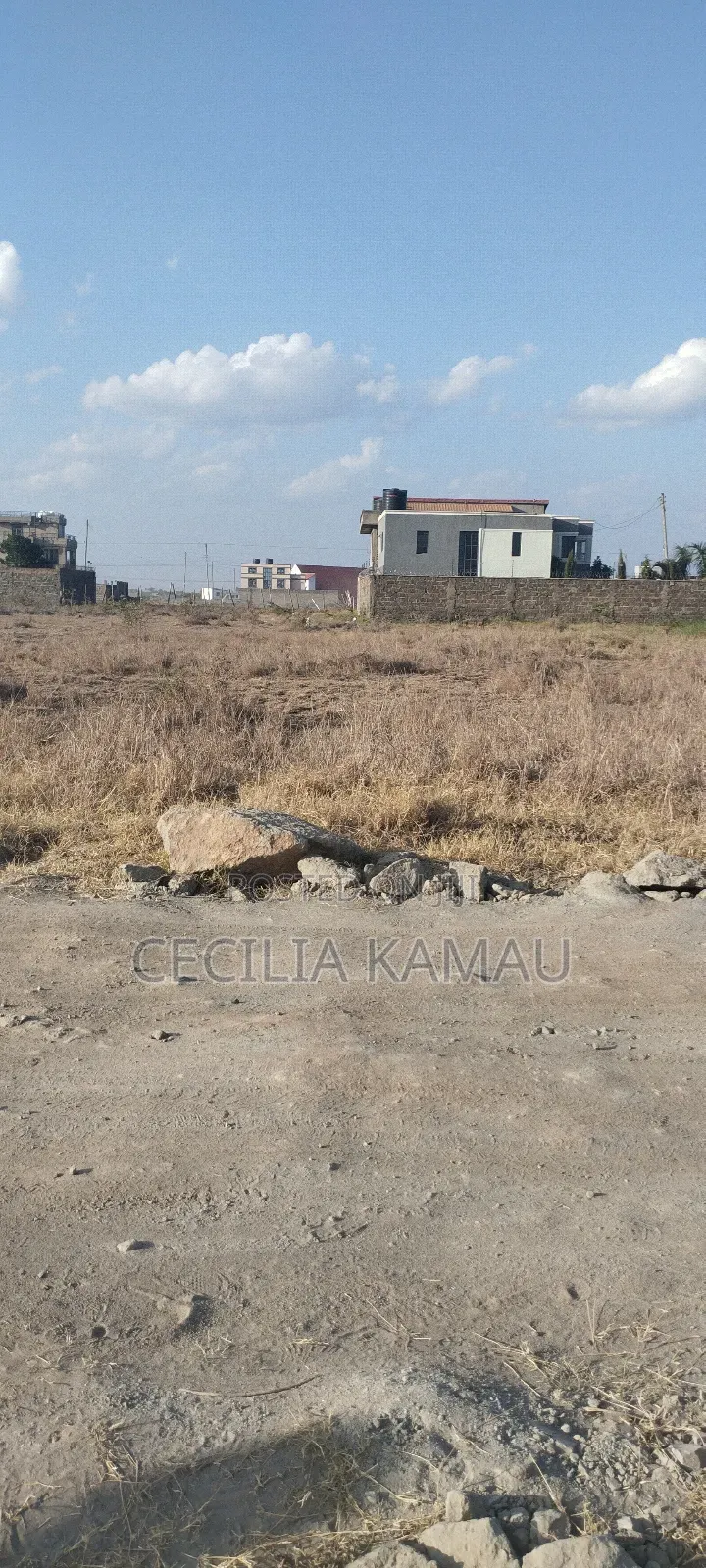 Kamakis Plot for Sale