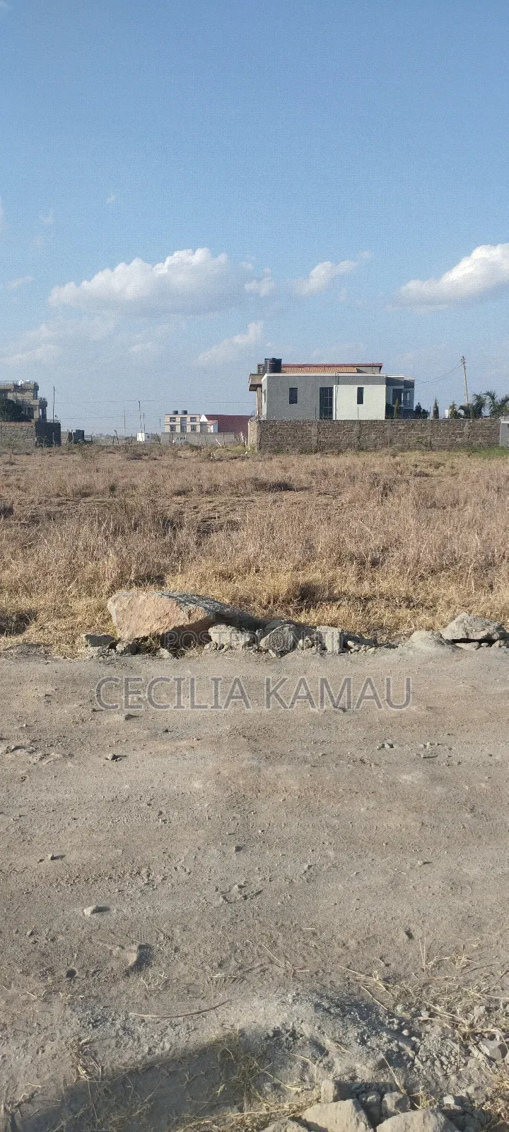 Kamakis Plot for Sale