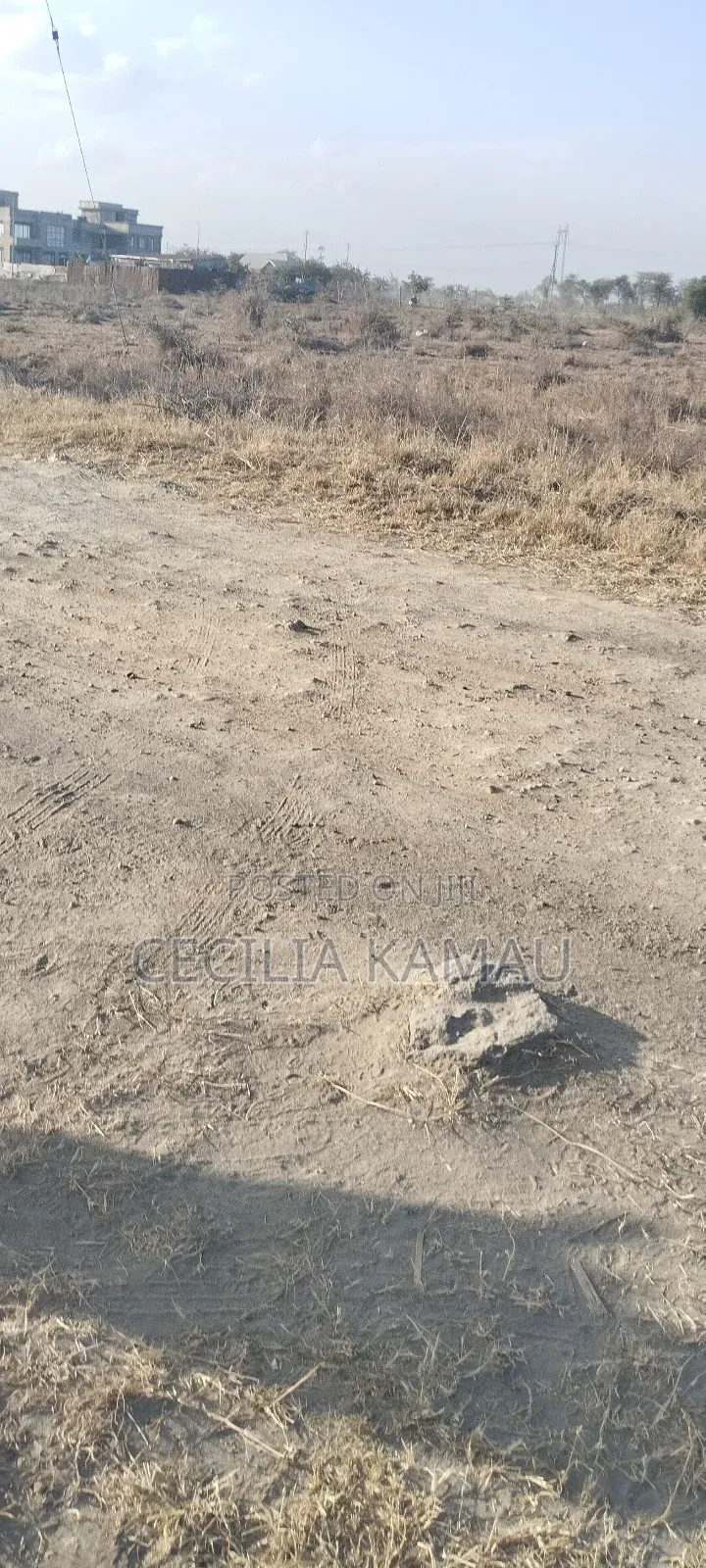 Kamakis Plot for Sale