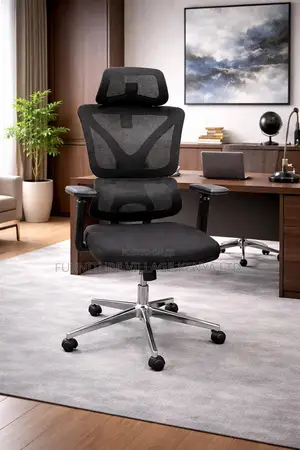 Orthopedic Office Chairs With Lumbar Support