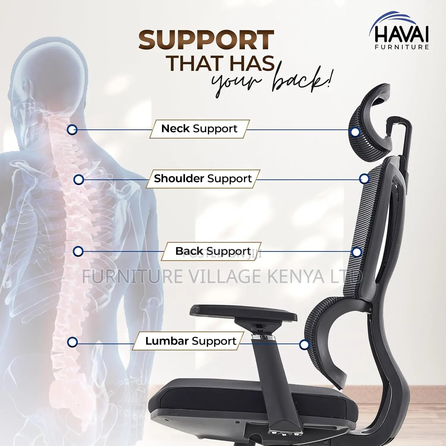 Orthopedic Office Chairs With Lumbar Support