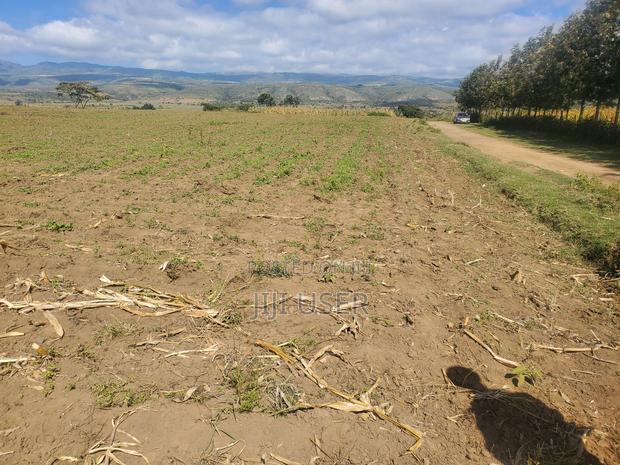 5-Acre Land in Moi Ndabi, Naivasha