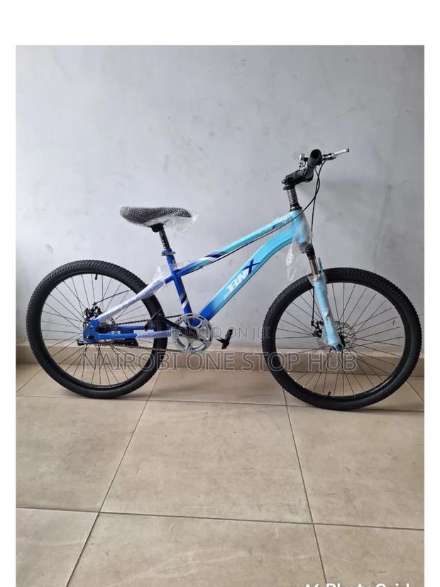 Blue BMX Bike Size 24 - main view