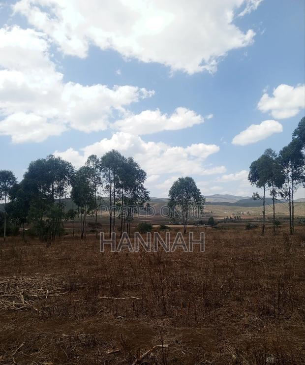 Quarter Acre Ngong for Sale - thumbnail 2