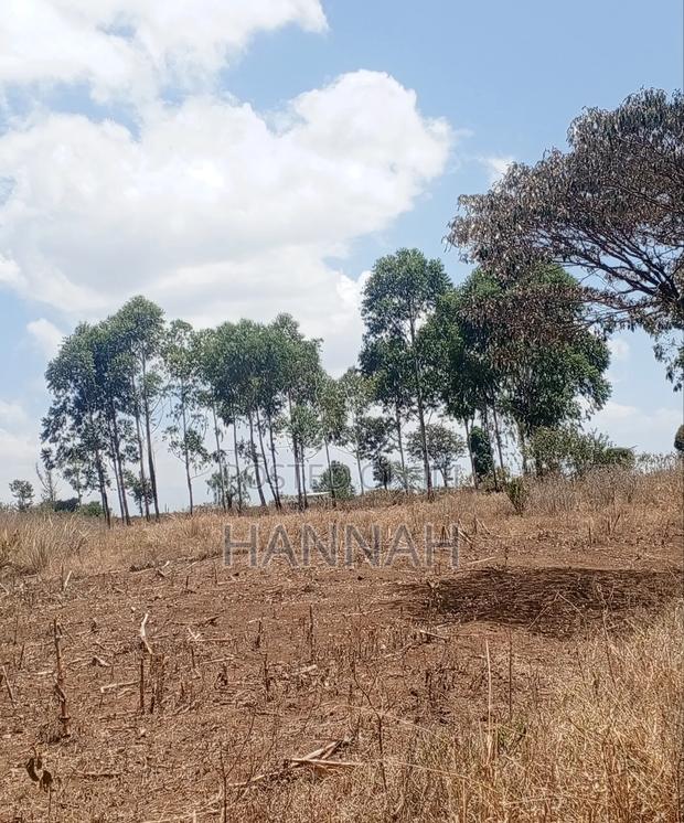 Quarter Acre Ngong for Sale - thumbnail 4