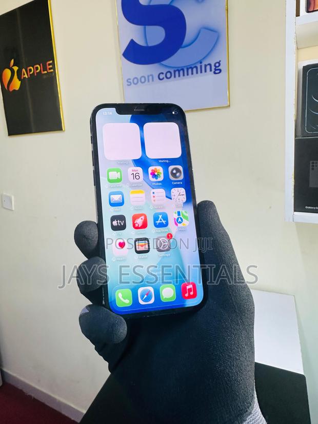 Apple iPhone 12 Pro 256 GB Blue - thumbnail 2