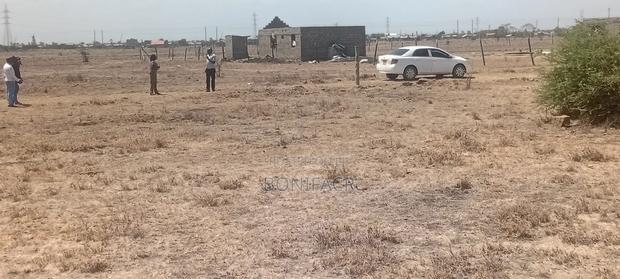 Muthaara Royal Haven - main view