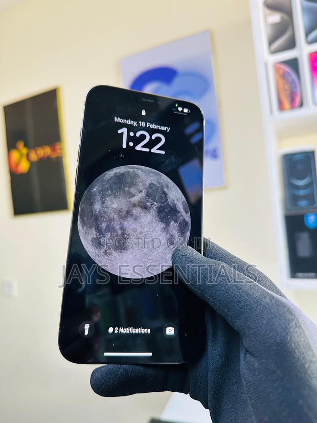 Apple iPhone 12 Pro Max 256 GB Gray - main view