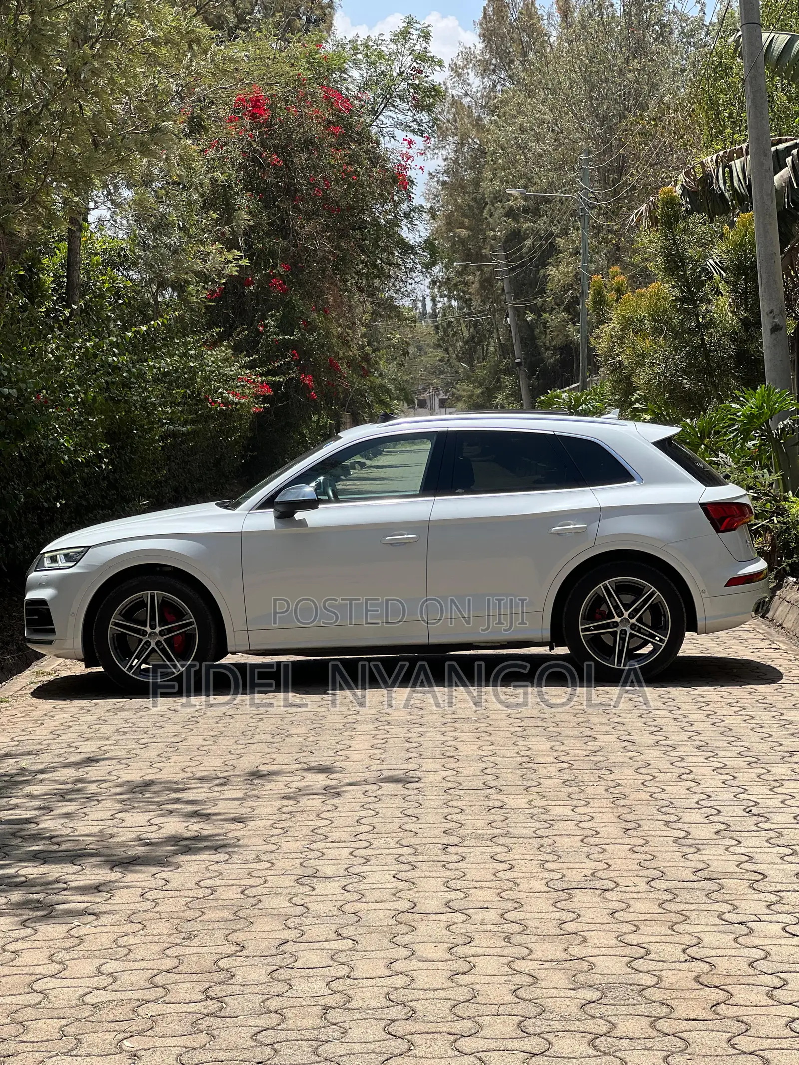 Audi SQ5 3.0T Premium AWD quattro 2020 White