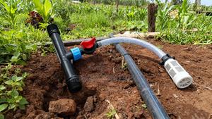 Dosing Pump - thumbnail 2