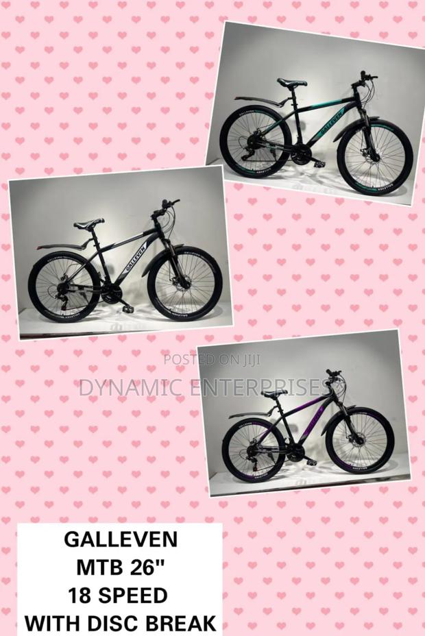 Galleven MTB 26-Inch Mountain Bike