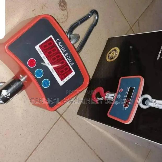 Crane Weighing Scale 500kgs
