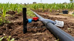 Fertigation Injector