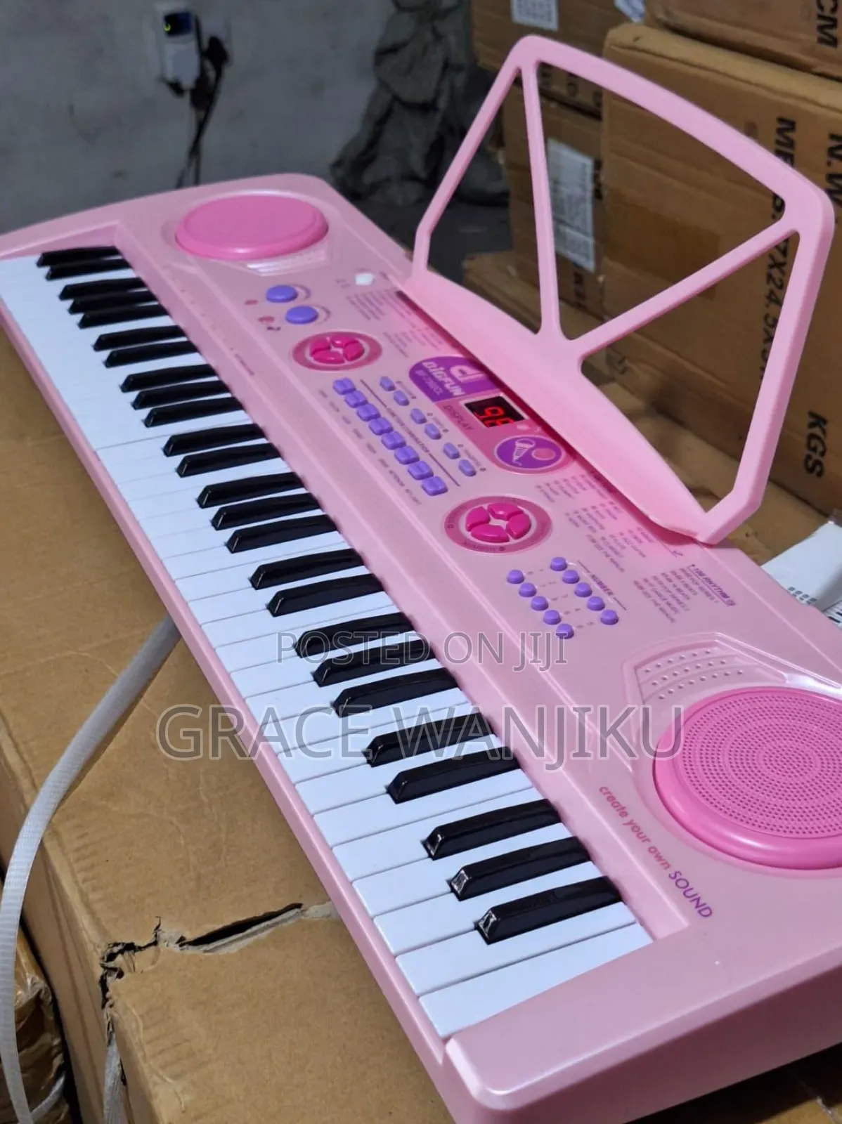 Professional Piano With in Built Battery