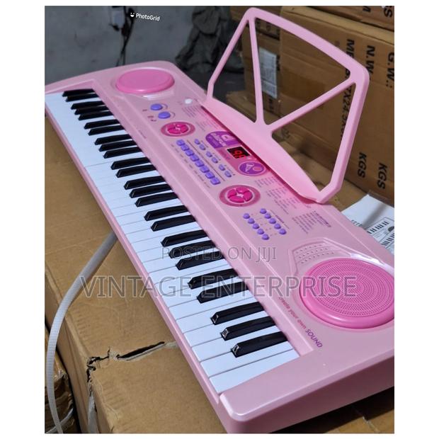 Professional Piano With in Built Battery - main view