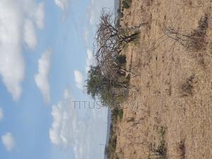 Land Advert - thumbnail 2