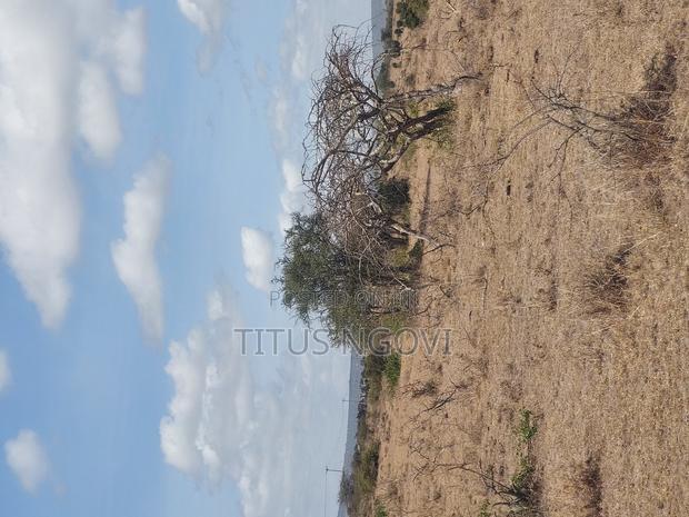 Land Advert - main view