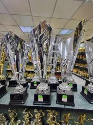 Metallic Trophies, Trophies, Trophy