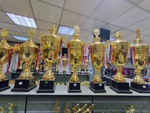 Golden Trophies, Trophies, Trophy - thumbnail 2