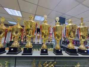 Golden Trophies, Trophies, Trophy