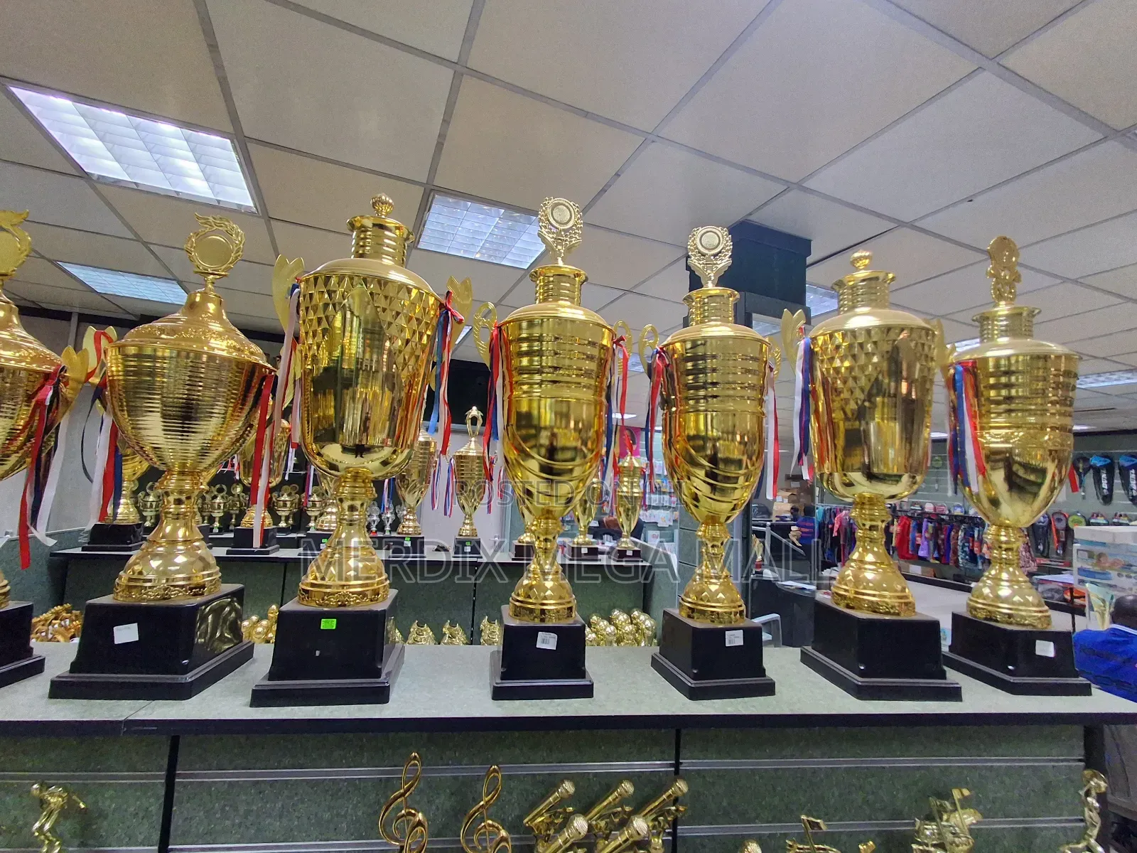 Golden Trophies, Trophies, Trophy