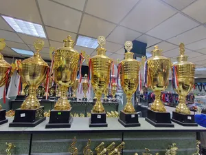 Golden Trophies, Trophies, Trophy