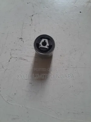 BMW X3 E83 Front Control Arm Bushes