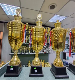 Ms01ms1,Gold Trophies, Trophy, Metallic Trophies