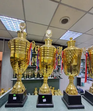 Ms01ms1,Gold Trophies, Trophy, Metallic Trophies