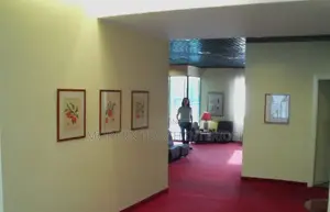 Delta Carpet Roll/Office Renovation Flooring Carpet