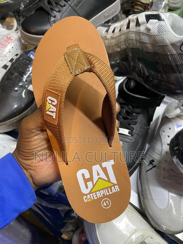 Cat Flipflops Sandals