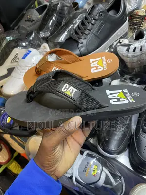Cat Flipflops Sandals