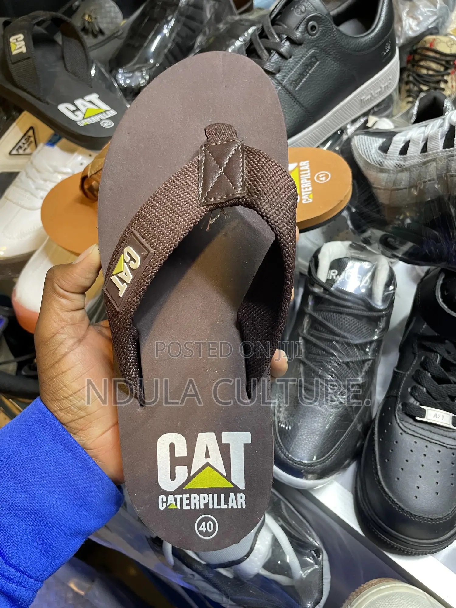 Cat Flipflops Sandals
