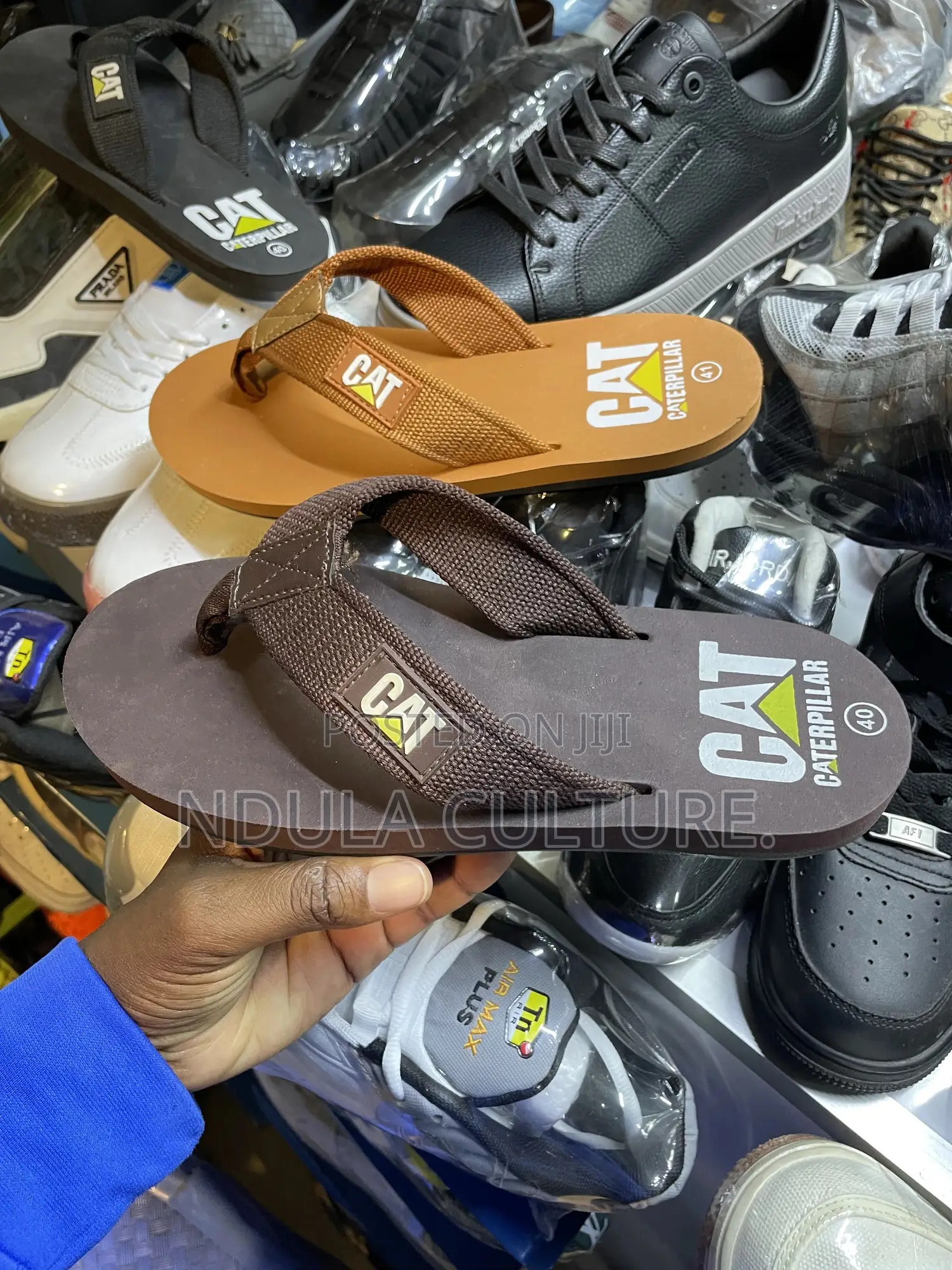 Cat Flipflops Sandals