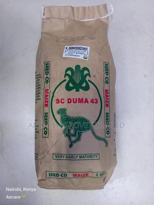 Duma 43 Maize Seeds 2kgs - main view