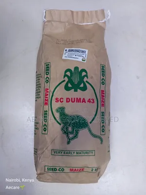 Duma 43 Maize Seeds 2kgs
