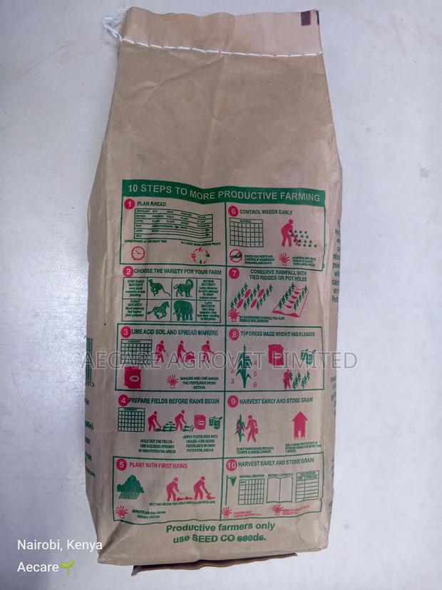 Duma 43 Maize Seeds 2kgs - thumbnail 4