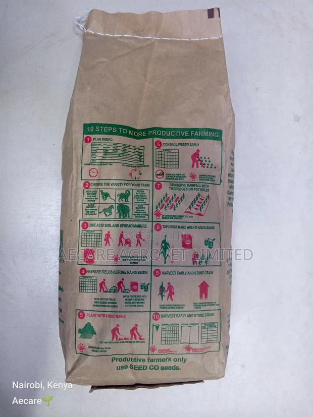 Duma 43 Maize Seeds 2kgs - thumbnail 5