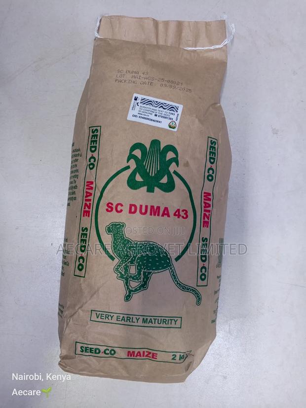 Duma 43 Maize Seeds 2kgs - thumbnail 7