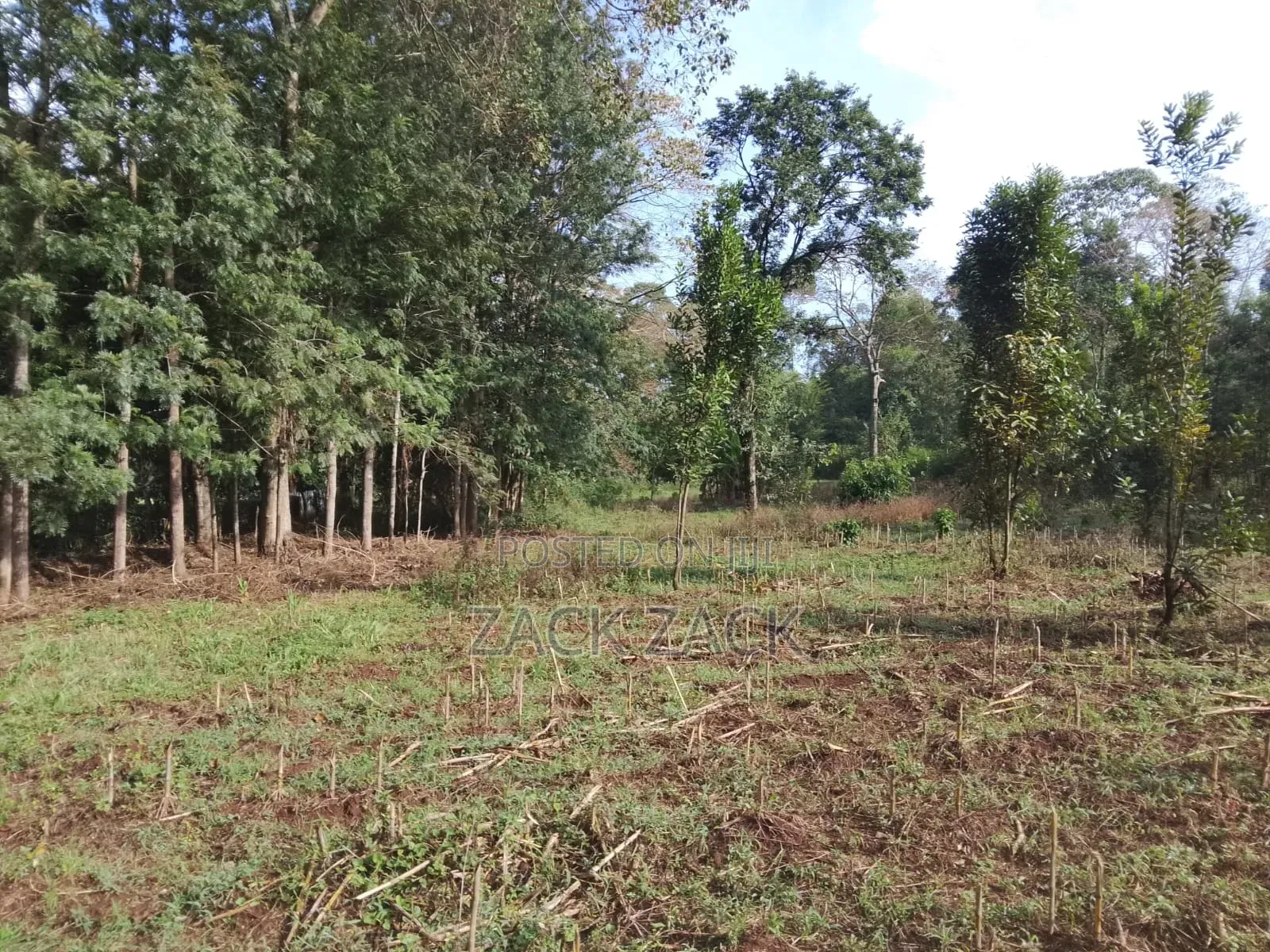 Land for Sale