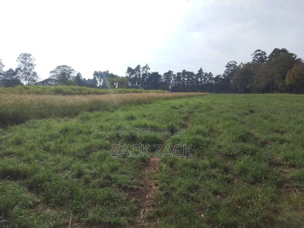 Land for Sale - thumbnail 8